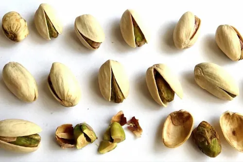 قیمت خرید پسته سیرجان تازه + راهنمای استفاده